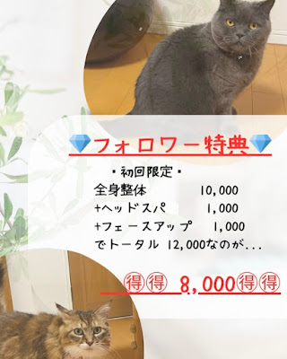 うつみ療整院 사진 3