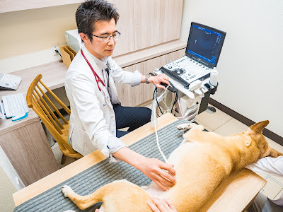 成城こばやし動物病院 Seijo Kobayashi Animal Hospital 사진 4