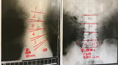 矜持整骨院 사진 5