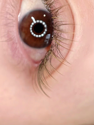enne eyebrow&eyelash 사진 5