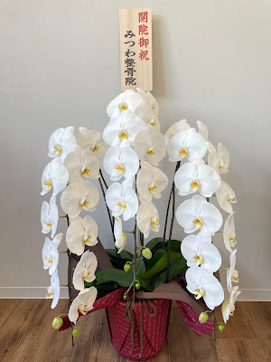 ラスバル鍼灸整骨院 祖師ヶ谷大蔵｜整体・ピラティス 사진 3