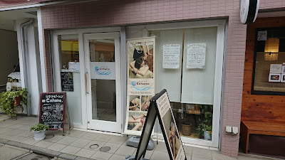 Ｃｏｈａｎａ． 사진 5