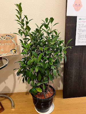 心空間Satuki 사진 3