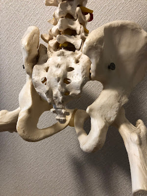 セイクラムバランス 사진 3