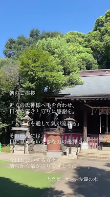 セラピーサロン沙羅の木 사진 2