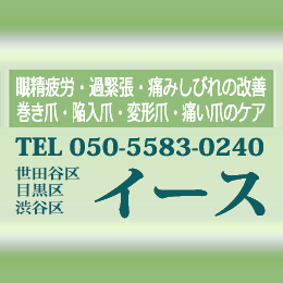 ＭＴイース 사진 5