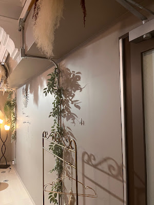 国際ホリスティックリメディアルマッサージアカデミー 사진 5