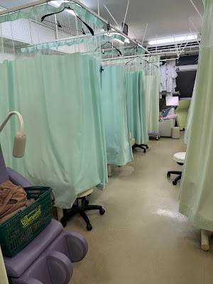 Yotsuba Orthopedic Clinic 사진 3