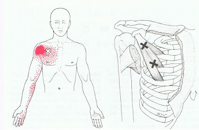 Minato chiropractic & acupuncture・港カイロプラクティック 鍼灸 사진 3