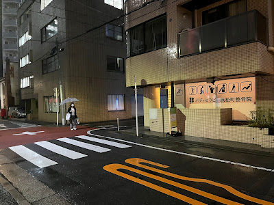 Body Therapy Hamamatsucho Orthopedic Clinic 사진 2
