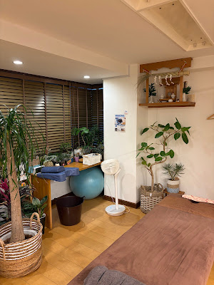 Shiba Koen Seikotsu Clinic 사진 3