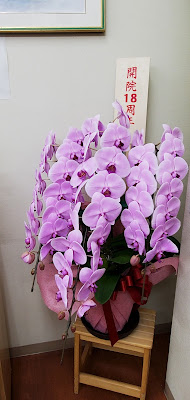 Horie Hari Kyu Orthopedic Clinic 사진 2