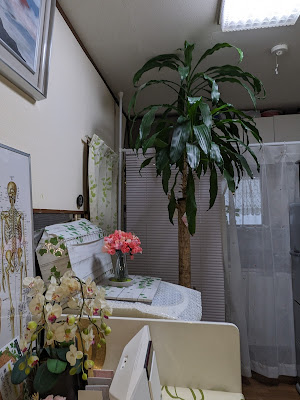 BEST Rigaku Acupuncture 사진 4
