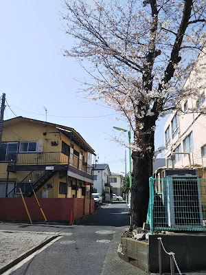 鍼灸あん摩の明鏡止水庵 사진 2
