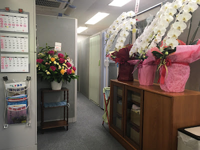 Tokyo Chiropractic 사진 4