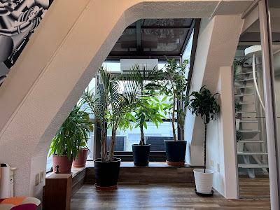 Osteopathy Tokyo Therapy & Wellness Center /オステオパシー 東京セラピー&ウェルネスセンター 表参道 사진 4