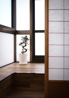 Osteopathy Tokyo Therapy & Wellness Center /オステオパシー 東京セラピー&ウェルネスセンター 表参道 사진 5