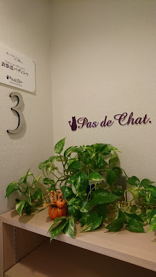 表参道パディシャ 사진 5