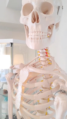 虹色BODY 사진 2