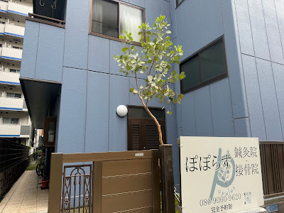 Poporasu Acupuncture Orthopedic Clinic 사진 2
