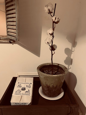 COTTON Clinic 사진 3