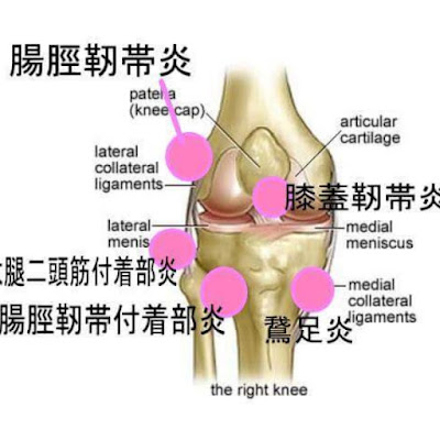 Kj Kitaaoyama Clinic 사진 5