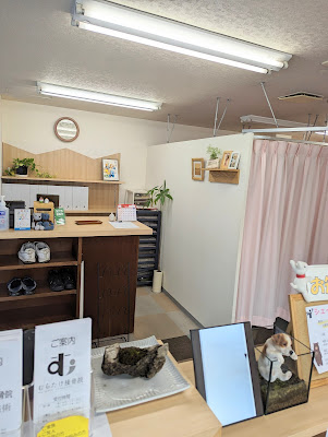 Muratake Orthopedic Clinic 사진 4
