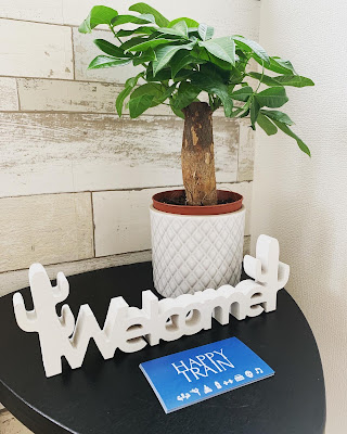 HAPPY TRAIN 사진 2