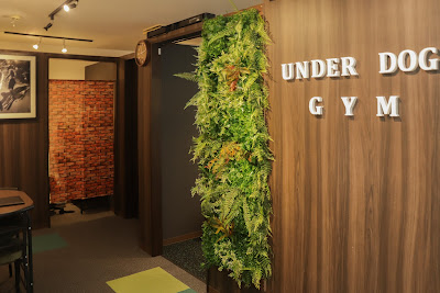 Under dog GYM 사진 3