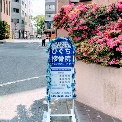 Higuchi Orthopedic Clinic 사진 2