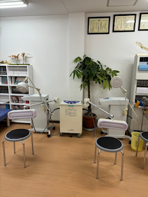 Aibi Acupuncture 사진 5