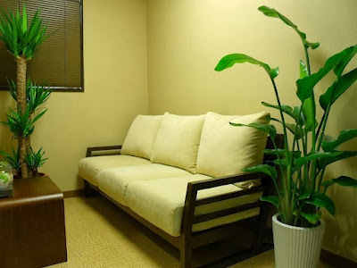 Shiatsu Hari Kyu Tsubo Clinic 사진 5