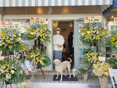 犬の整体NO.11DOG STUDIO(ナンバーワンワンドッグスタジオ)犬の整体、ドッグマッサージ 사진 4