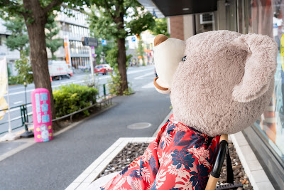Minamiasagaya Station Ryuseishin Orthopedic Clinic 사진 5