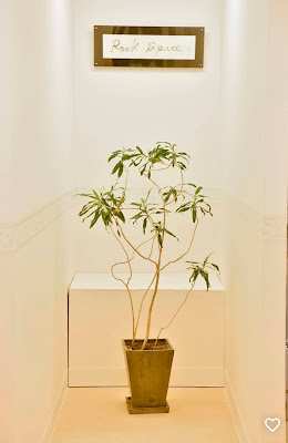 指圧治療院 Rock Space 사진 3