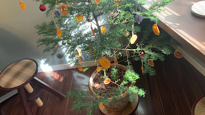 腸セラピーサロン・スクール Die Natur〈ディナチュア〉 사진 2