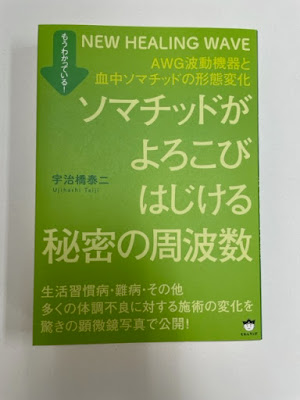 免疫整体 ここ一番 사진 3