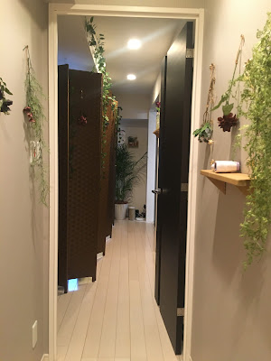 ハリナチュレ吉祥寺店 사진 4