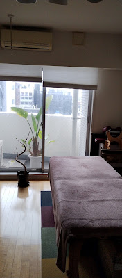薬だけに頼らない身体ケア｜オステオパシーアワノネ（旧：おおはら治療室） 사진 4