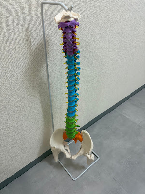 鈴ノ木整体院 사진 3