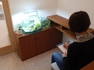 はりきゅうマッサージ治療院 金魚庵 사진 2