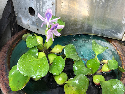 ひろナチュラル 사진 2