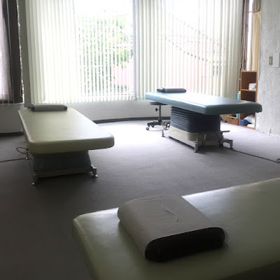 Penguindo osteopathy 사진 3