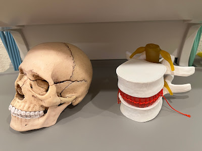 Yoshida Orthopedic Clinic 사진 4