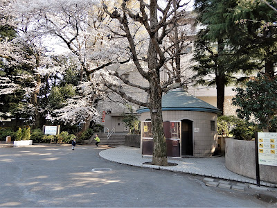 Tsurumaki Minami Park 사진 4