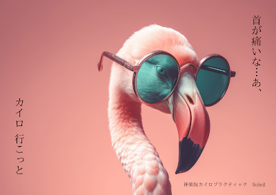 Soleil 神楽坂カイロプラクティック 사진 3