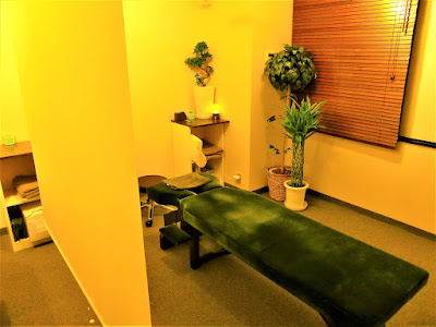 Total Body Care 飯田橋整体院 사진 4