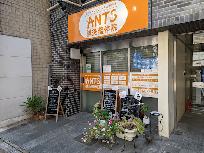ANTS Shinkyu Clinic 사진 3