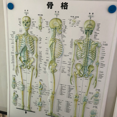 TOKYO腰痛肩こりケアセンター 사진 3