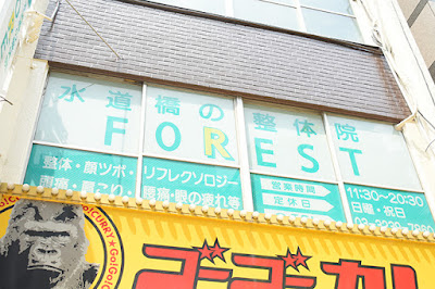 Forest 사진 3